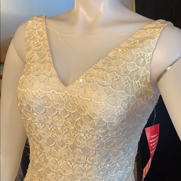 Hailey Adrianna papell ivy lace dress sz 2 fit s - Picture 5 of 8